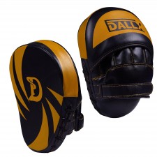 Boxing Mitts